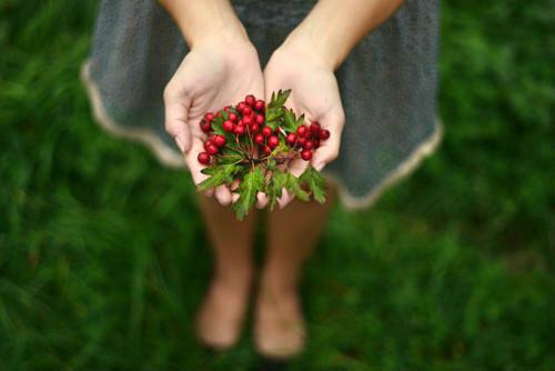 林禾安陆敬轩小说 林禾安陆敬轩完整版免费阅读