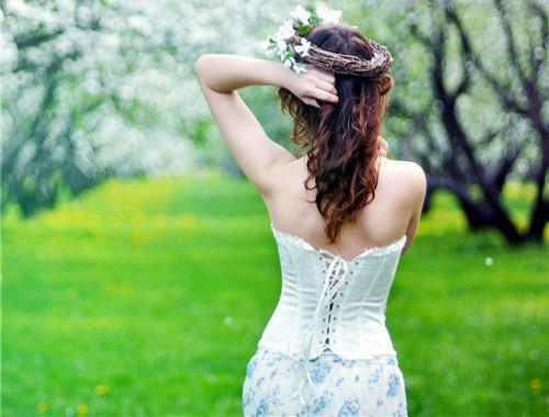 主角名是甄贵妃苏婕妤全文免费阅读正版