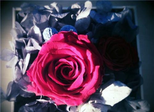 (抖音小说)顾玄林正英小说全文阅读免费