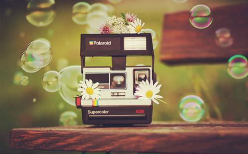 应铭许尽欢宋斯辰全文免费阅读 软饭男拿着我的钱养小青梅大结局阅读