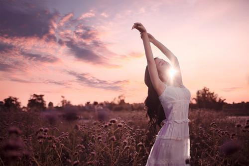 秦烨白芯是哪部小说的主角 秦烨白芯全文阅读