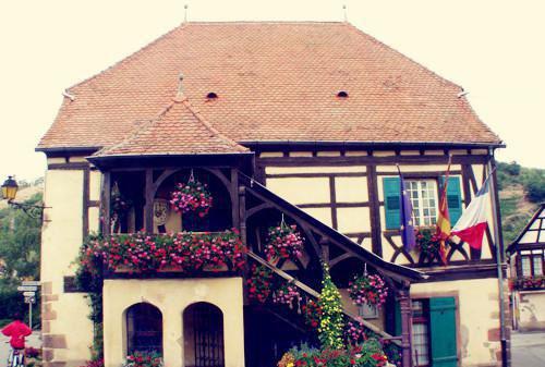 李沐沐章廷张清章节目录 我妈污蔑老公有小三，婆婆杀疯了小说免费阅读无弹窗