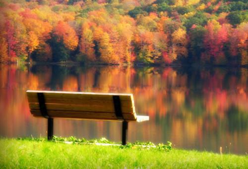 《阮莺祁焰程随安沈越小说》无弹窗全文免费阅读