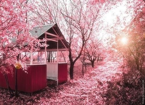 牛蛙嫂子小说全文 唐嘉嘉大结局在线阅读