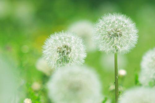 主角名是纪染陆斯年全文免费阅读正版