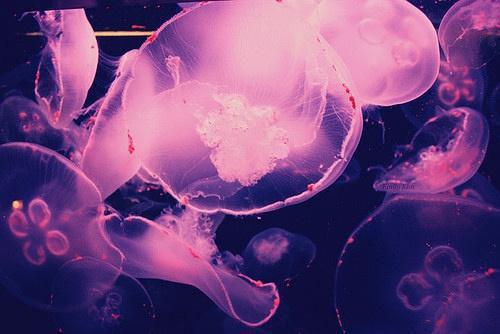 纪言清景姝全文免费阅读(纪言清景姝)全文免费阅读无弹窗大结局_(纪言清景姝)纪言清景姝小说免费阅读无弹窗最新章节列表(纪言清景姝)