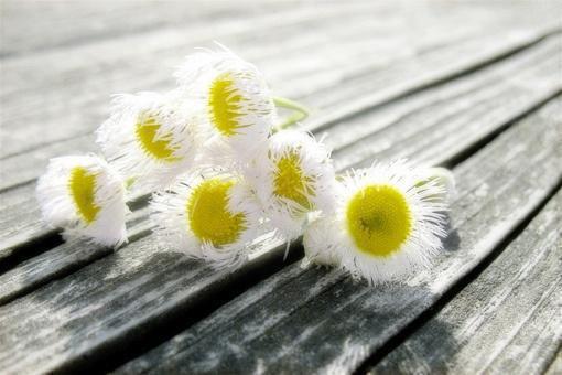 小佳陆屿森小说免费阅读最新 小误会完整版