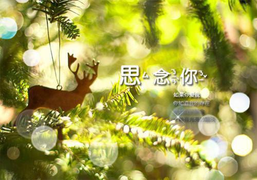 唐星妤顾瑾明宇最新章节免费 唐星妤顾瑾明宇第2章在线阅读