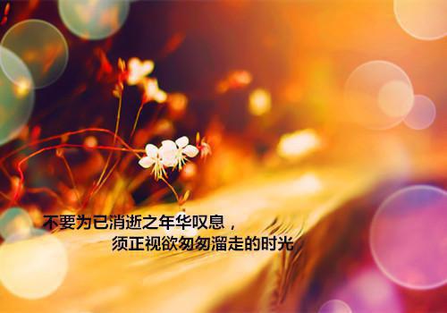 破戒免费阅读全本 安夏傅闻博叶琳最新章节