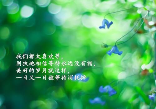 当杀鱼宫女的太子妃全文阅读 容景柳烟儿李樾小说全本资源