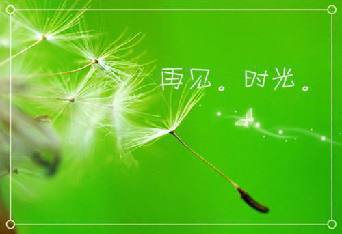 分手后我让垃圾竹马跪地喊婶婶苏锦盛少泽林沐瑶免费章节在线阅读