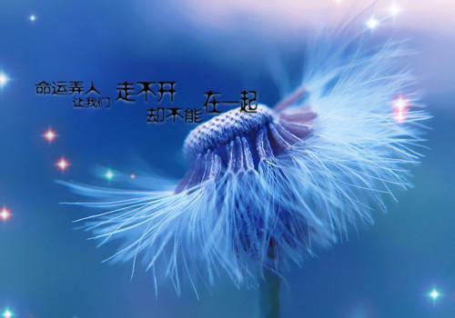 穆江宁林峥元免费阅读小说 穆江宁林峥元第四章