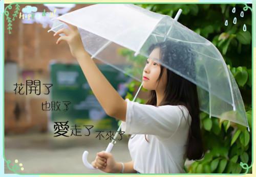 宋知微裴景深宋佳儿全文免费大结局 宋知微裴景深宋佳儿小说在线阅读