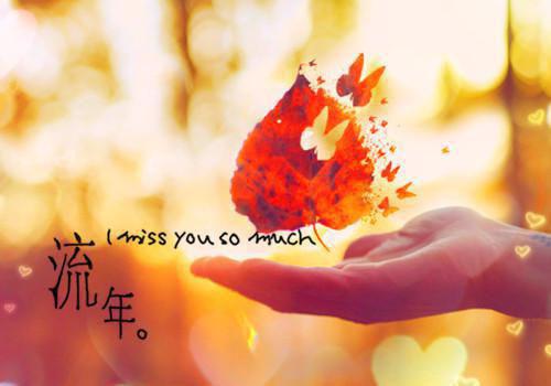 (最新)容景柳烟儿李樾小说完整版免费阅读