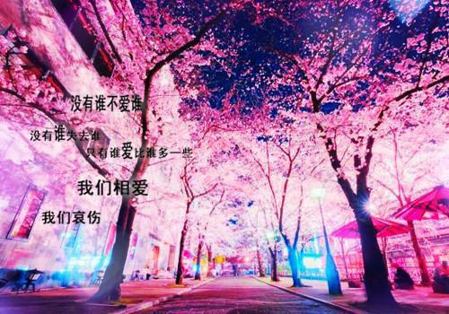 夏薇傅怀安小说 夏薇傅怀安免费章节阅读