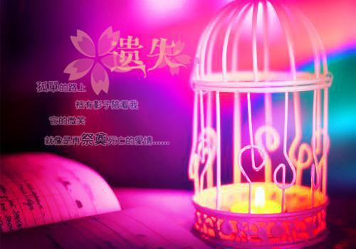 嫁入豪门我毁容了30章在线阅读 沈意盛宁免费小说精彩章节