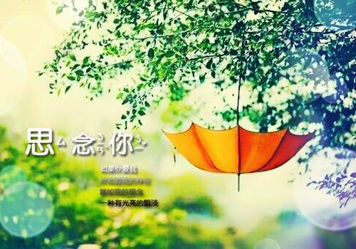 沈念离宋子航小说全免读 沈念离宋子航第1章在线阅读