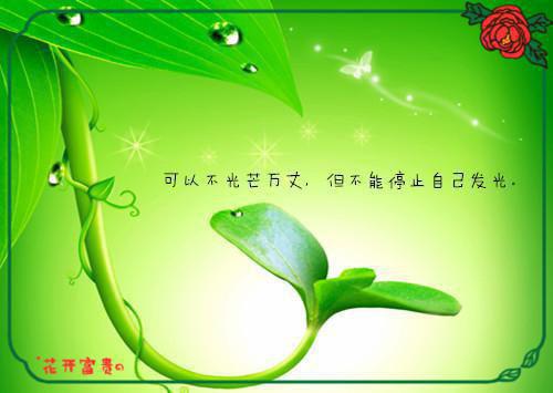 替妈妈挡下所有的罪名，她却连多看我一眼都不肯在线完整版免费阅读 方一小说全集