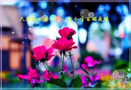 《岳将军小说》无弹窗全文免费阅读