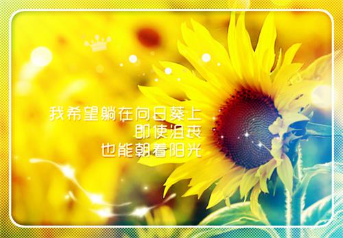 段京墨温序小说全文 段京墨温序小说免费阅读大结局