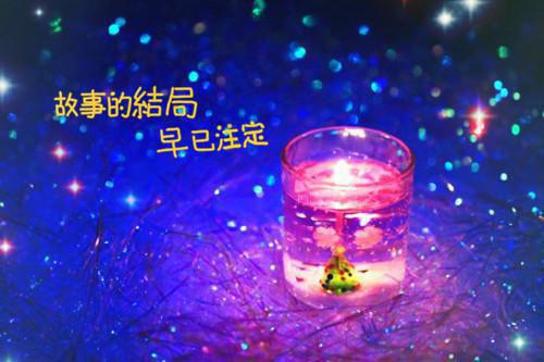 听从网友意见后，我带球跑了结局在线阅读 陆尧晏时洛宁完整版免费小说