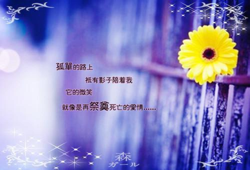 李勉周染林放最新篇章 不爱了，别打扰全本免费阅读