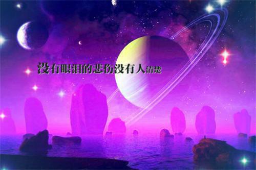 顾岁枫最后结局 顾岁枫完结版免费阅读