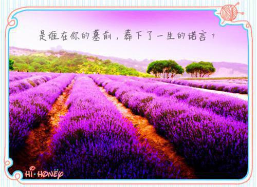 林烟梁宽小说 林烟梁宽全文免费阅读