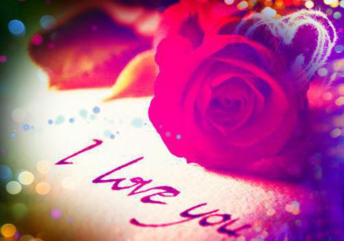 周子珩沈南星小说名字 周子珩沈南星全文免费阅读