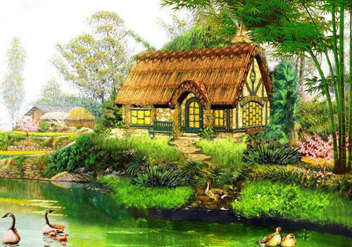 主角是江雾张远的小说免费阅读全文大结局