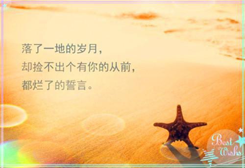 顾南笙陆洵小说 顾南笙陆洵免费章节阅读