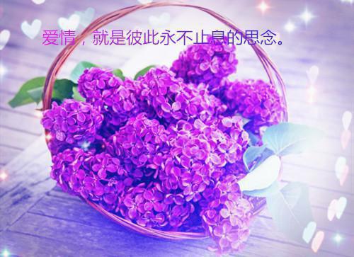 相册中的美甲图宋言升小说(完整)免费阅读