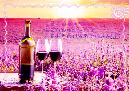 凌川沈之意慧雅最后结局 凌川沈之意慧雅完结版免费阅读