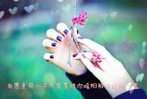 边瑶林洲免费阅读无弹窗 边瑶林洲最新章节