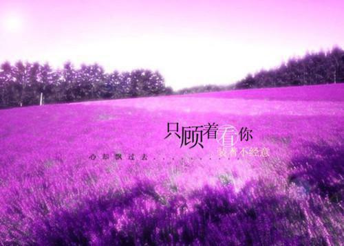 江艺淼周书铭最后结局 江艺淼周书铭完结版免费阅读