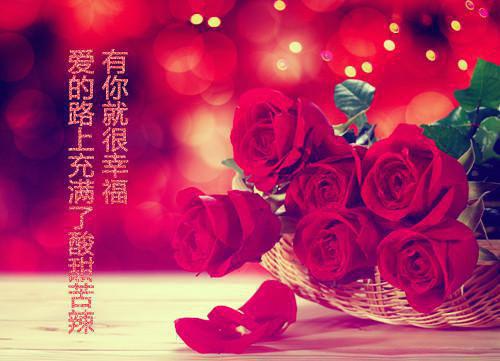 东陵玖陆承钧小说经典书荒必读（东陵玖陆承钧）全文免费阅读无弹窗大结局_东陵玖陆承钧小说最新章节列表（东陵玖陆承钧）