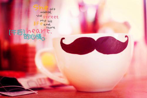 温阅音孟净柏免费阅读无弹窗 温阅音孟净柏最新章节