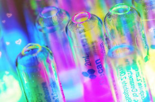 苏星妃勒温哲哪里可以看 苏星妃勒温哲免费阅读第二章