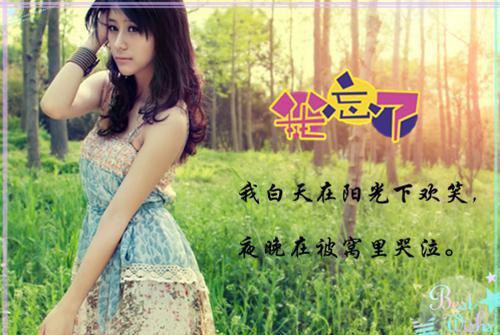 (抖音小说)顾修远慕雪儿小说全文阅读免费