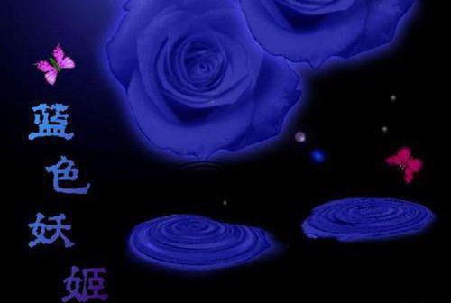 迷恋晒背的妈妈大强小瑶未删节全文阅读