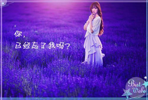 林天洛冰凝小说 林天洛冰凝免费阅读