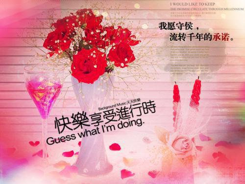 程知鸢贺瑾舟完整未删减版在线阅读 程知鸢贺瑾舟结局