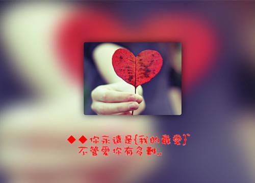 苏辛温雅小说全免读 苏辛温雅第一章在线阅读