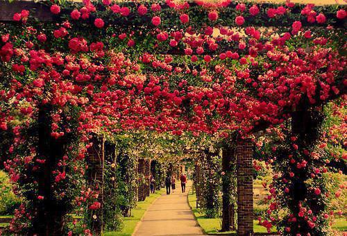 张大娟张小娟免费小说 张大娟张小娟全文阅读目录