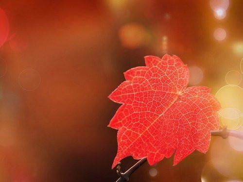 恶毒小姑子顾笑笑许静许峰第16章 免费阅读