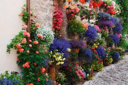 林承安卷卷免费阅读第4章 林承安卷卷大结局