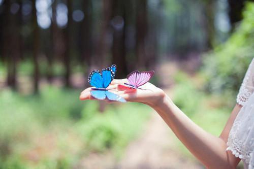 《女明星和娱记》最新章节免费阅读by佚名大结局