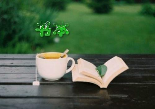 林玥宋子逸小说叫什么 林玥宋子逸小说全文免费阅读