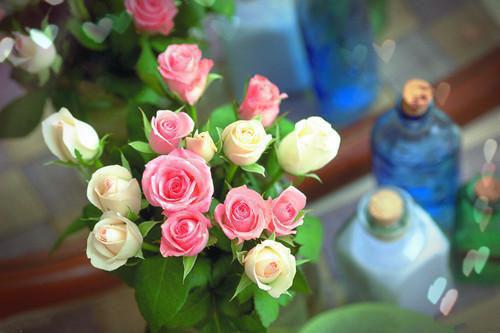 岑璃厉寒彻全文阅读 岑璃厉寒彻小说最新章节