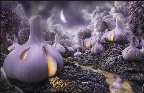 祁珩叶南知最新篇章 未婚夫将婚戒送给闺蜜全本免费阅读